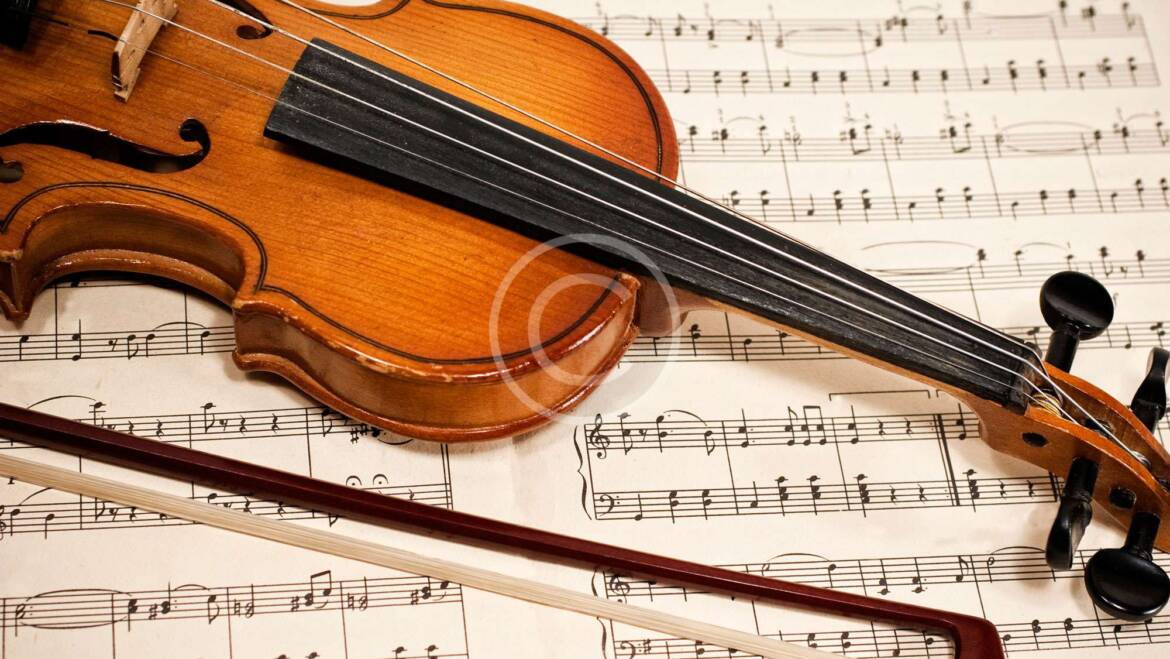 Violine