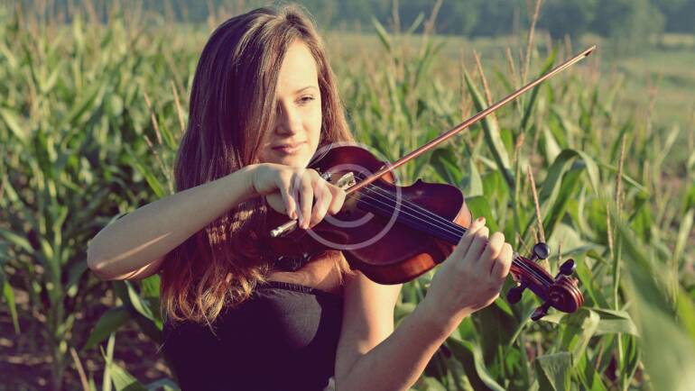 Viola